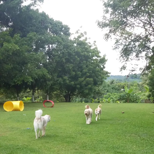Un huésped feliz disfrutando de los terrenos